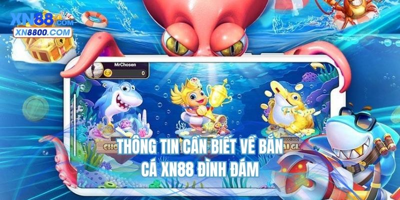 Thông tin cần biết về bắn cá XN88 đình đám