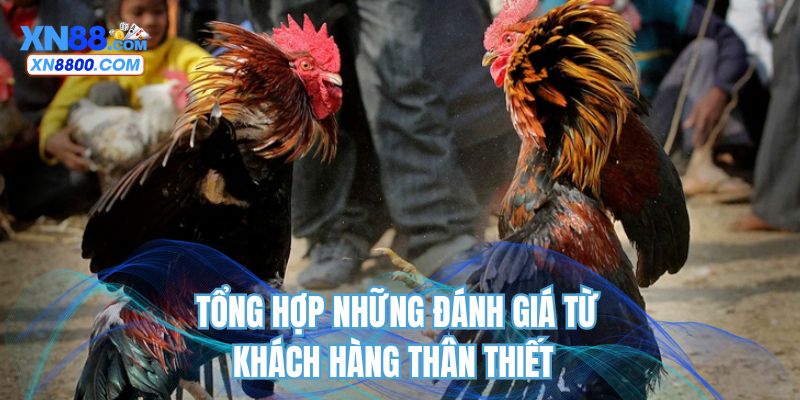 Tổng hợp những đánh giá từ khách hàng thân thiết